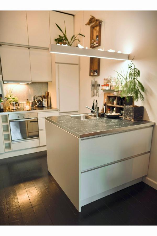 Lovely, 1898 Jugendstil Design Apartment, Old Haarlem City Centre, Fully Renovated With Parkview Near Amsterdam And Zandvoort, Bloemendaal Beach Eksteriør bilde